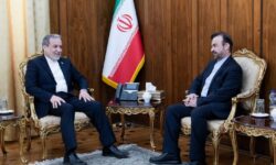 دیدار نجفی با عراقچی