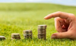 سهمیه تسهیلات خرد و کلان در میاندورود افزایش یابد