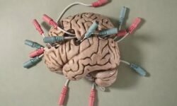 شنیدن صدای دوپامین در مغز زنده