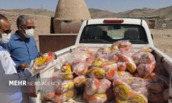 ضبط و معدوم کردن ۱۳ تن گوشت غیر بهداشتی در چهارمحال و بختیاری