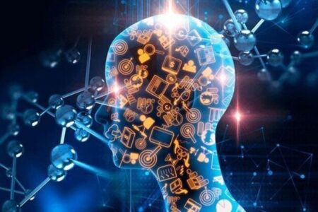 فراخوان حمایت از توسعه علوم و فناوری‌های عصبی-شناختی تمدید شد