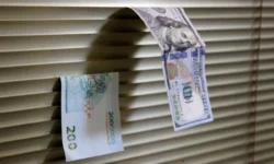 آخرین قیمت دلار امروز شنبه 25بهمن/ کاهش قیمت دلار + جدول