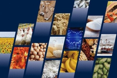بررسی علل و راهکارهای مقابله با اتلاف مواد غذایی در زنجیره تامین