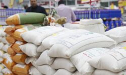 برنج پاکستانی در آستانه بازگشت به بازار