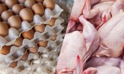 جزئیات کاهش قیمت مرغ، تخم مرغ و گوشت قرمز در بازار