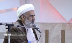 حجت‌الاسلام محمدی: پیشکسوتان انقلاب ستون امنیت و ثبات کشور هستند