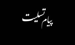 حجت‌الاسلام موسی‌پور درگذشت همسر انسیه خزعلی را تسلیت گفت