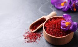 زعفران‌ تقلبی؛ معضل بزرگ بازار است | نقش صنف چاپخانه داران در توزیع گسترده طلای سرخ جعلی