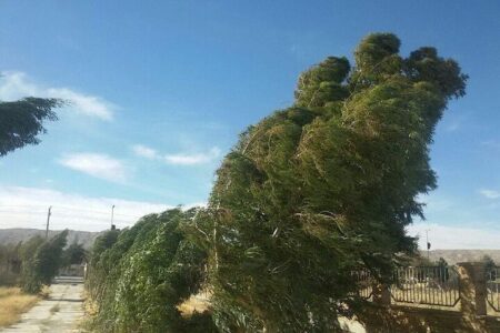سرعت وزش باد در برخی نقاط مرکزی ۸۰ کیلومتر بر ساعت می رسد