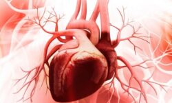 سلامت قلب افراد شب زنده دار در معرض خطر است