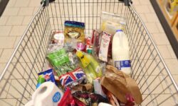 شاخص قیمت مواد غذایی فائو در ژانویه برای پنجمین ماه متوالی کاهش یافت