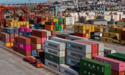 صادرات ۲۳ میلیون دلاری ۲۴ تعاونی صادراتی خراسان جنوبی