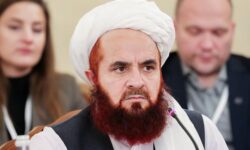 طالبان خواستار حضور در نشست‌های سازمان همکاری شانگهای شد