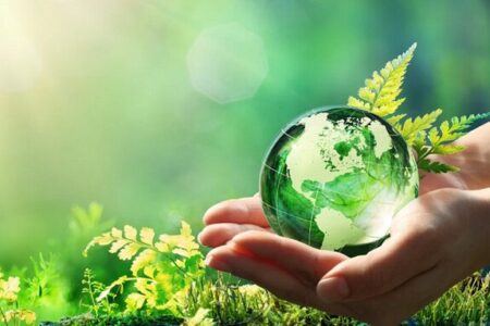 فراخوان برگزاری مسابقه نقاشی سیاه قلم به مناسبت هفته منابع طبیعی