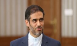 محمد: دولت نقش اساسی در بهبود شرایط اقتصادی دارد