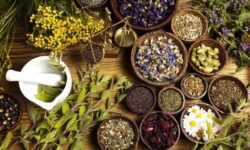 مصرف خودسرانه فرآورده‌های گیاهی خطرناک است 