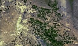 مطالعه پژوهشگر ایرانی دانشگاه تربیت مدرس جهانی شد؛ علفزارها مخزن کربن