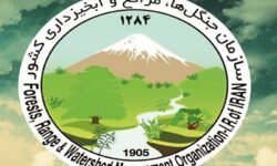 معیشت یک میلیون خانوار وابسته به منابع طبیعی کشور است