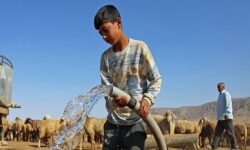 ناجی: ۱۰۴ خانوار عشایر آذربایجان غربی از آب سالم بهره مند شدند  