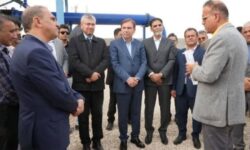 نماینده دشتستان: زیرساخت‌های کشاورزی در شهرستان تقویت شود