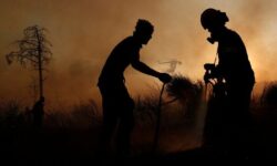 هشدار افزایش دما و وزش باد در شمال؛ احتمال وقوع آتش‌سوزی در جنگل‌ها