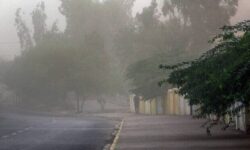 وزش باد شدید در مشهد
