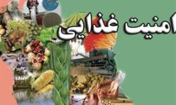 پرونده متفاوت «معماری نوین امنیت غذایی» در تسنیم