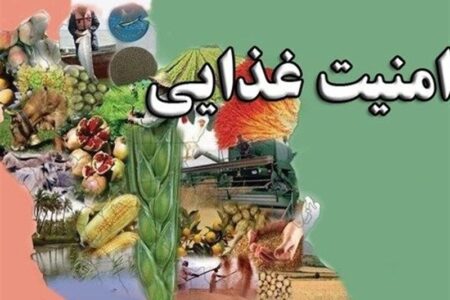 پرونده متفاوت «معماری نوین امنیت غذایی» در تسنیم