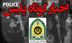 کشف ۷۰۰۰ بارنامه جعلی قاچاق سوخت در فارس