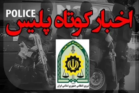 کشف ۷۰۰۰ بارنامه جعلی قاچاق سوخت در فارس