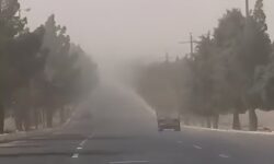 ۸۰ درصد ریزگردهای شمال استان گلستان منشأ خارجی دارد