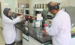 انجام بیش از ۱۷ هزار آزمایش در آزمایشگاه مرکزی دامپزشکی استان ایلام
