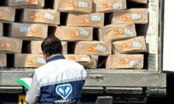صادرات نزدیک به ۶ هزار تن فرآورده خام دامی از کردستان