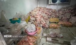 معدوم‌سازی ۷۷۰۰ کیلوگرم مواد خام دامی غیربهداشتی در تبریز