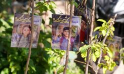 اجرای پویش کاشت نهال امید در ۱۷۸۲ مدرسه خوزستان به یاد شهدای میناب