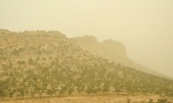ادارات ایلام به دلیل گرد و غبار تعطیل اعلام شد