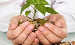 از اهدای دارایی تا حل مسائل اجتماعی، بازتعریف الگوی مشارکتی وقف