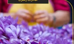 افشای آمار عجیب صادرات زعفران ایرانی توسط افغانستان
