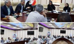 امینی: رعایت دستورالعمل‌های بهداشتی در پرورش میگو ضروری است