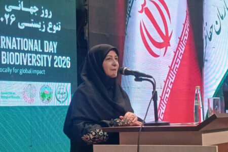 انصاری: توسعه نامتوازن تهدید اصلی تنوع زیستی ایران است