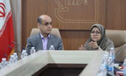 انصاری: ساختمان‌های جدید حتماً برچسب انرژی دریافت کنند
