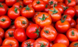 بازار صادراتی جان گرفت / دستور تازه گمرک برای خروج آزادانه سه کالای حساس