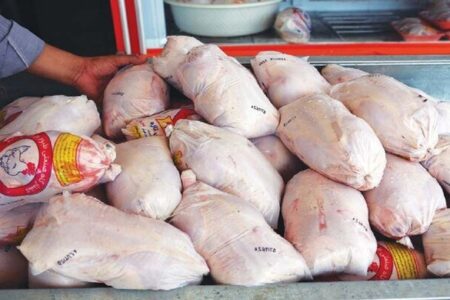 بازار عرضه گوشت مرغ بروجرد در ثبات نسبی است
