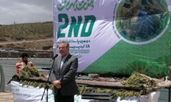 بدنبال جنگ رمضان ظرفیت مراکز اقامتی کشور به ٢٠ درصد کاهش یافت