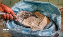 برخورد قاطع با تخلفات صنفی و قاچاق آرد در اردبیل