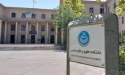 توضیحات دانشگاه تهران در مورد خبر اخراج یکی از اعضای هیئت علمی