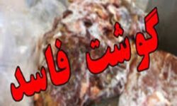 دامود: ۱۳۰ کیلوگرم فرآورده دامی غیرقابل مصرف در هرسین امحا شد