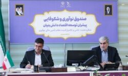 دیدار استاندار چهارمحال  وبختیاری با رئیس صندوق نوآوری وشکوفایی کشور /پیگیری برای تأمین مالی طرح‌های کلان و توسعه زیست‌بوم فناوری استان
