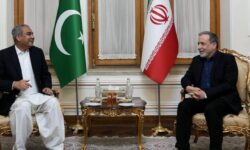 دیدار وزیر کشور پاکستان با عراقچی