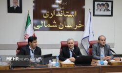 رجائی‌نیا: دستورالعمل تنظیم بازار در خراسان شمالی بومی‌سازی شد